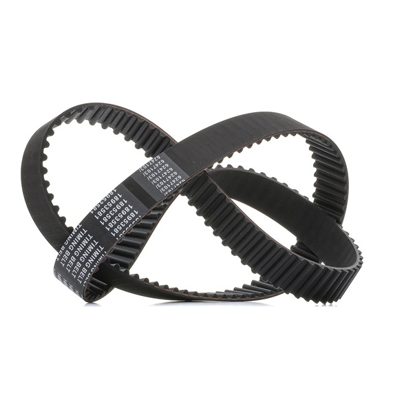 OEM-Nummer 13028 81T00 - Zahnriemen 306T0121P NISSAN, INFINITI
