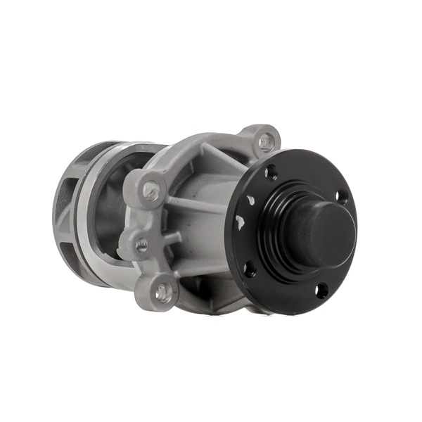 acquisto RIDEX PLUS (1260W0201P) Pompa acqua