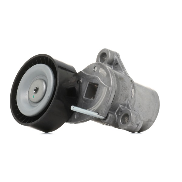 Numéro OEM CM5Q-6A228-BA - Poulie, tendeur de courroie d'accessoire 310T0667 FORD, FORD USA