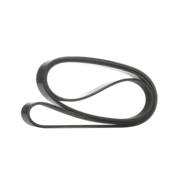 Correia trapezoidal estriada 305P0647 RIDEX FORD Focus Mk3 Carrinha (DYB) 1.0 EcoBoost 2012 125 cv