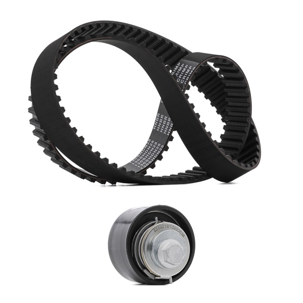 RIDEX PLUS 307T0237P kit de distribution FORD Transit Mk4 Camion plate-forme/Châssis (VE83) 2.5 TD 85CV 1999