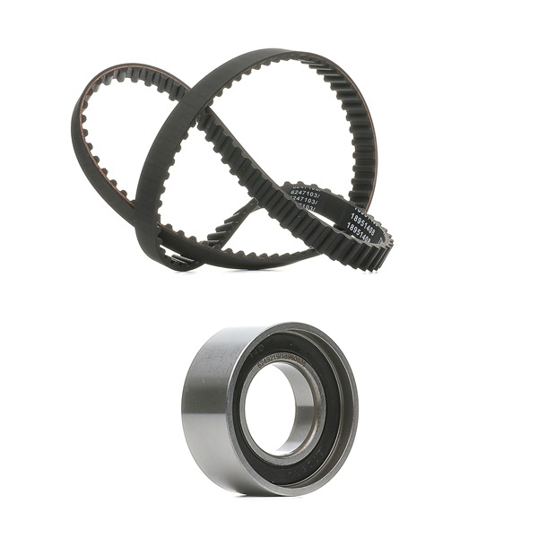 Número OEM 71736719 - Kit de correa de distribución 307T0073P FIAT, ALFA ROMEO, LANCIA