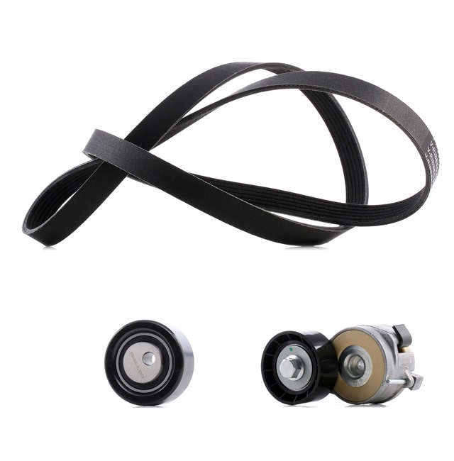 Keilrippenriemensatz 542R0048P RIDEX PLUS CITROËN C5 II Kombi 1.6 HDi (RE9HZC, RE9HYB) 2008 109 PS