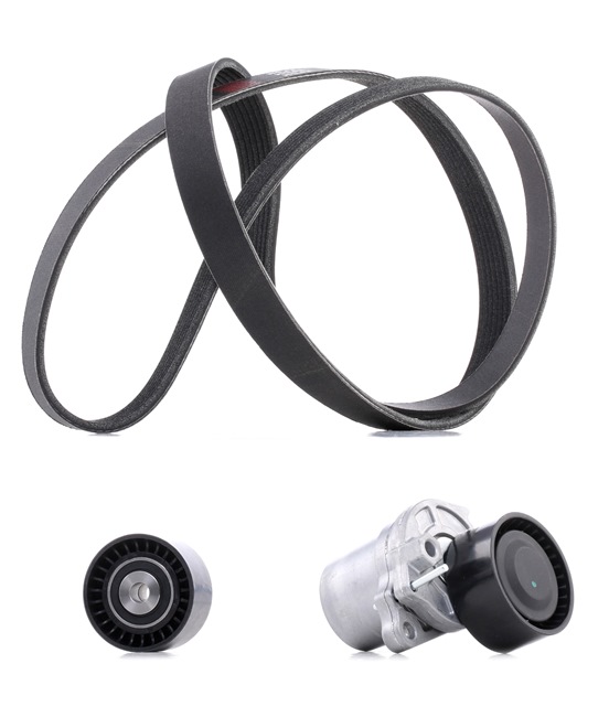 OEM nummer 11 95 500 Q0G - Drivremssats 542R0196P RENAULT, NISSAN