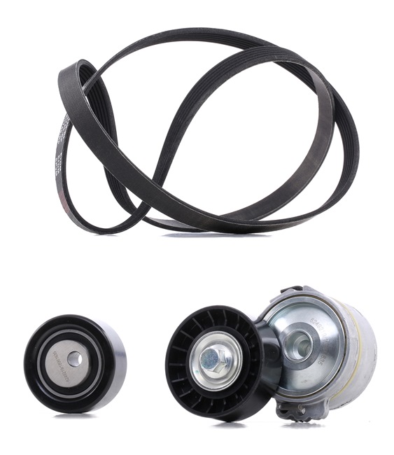 Número OEM 96 448 466 80 - Jogo de correias trapezoidais estriadas 542R0002P VW, CITROËN, FIAT, ALFA ROMEO, LANCIA