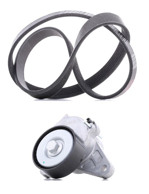 Kit Cinghie Poly-V 542R0122P RIDEX PLUS Volkswagen Passat B8 Variant (3G5, CB5) 2.0 TDI 2017 190 CV