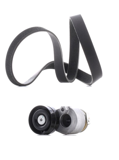 Drivremssats 542R0029P RIDEX PLUS RENAULT Grand Scénic III (JZ) 1.9 dCi 2009 131 hk
