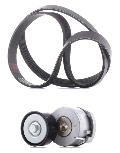 Keilrippenriemensatz 542R0125P RIDEX PLUS FORD Kuga Mk1 SUV 2.0 TDCi 4x4 2012 140 PS