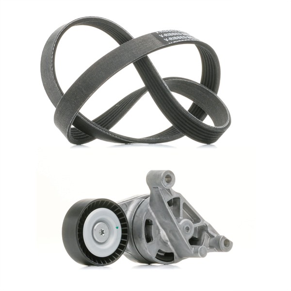Kit Cinghie Poly-V 542R0044P RIDEX PLUS Volkswagen Passat B6 Variant (3C5) 2.0 TDI 2007 120 CV