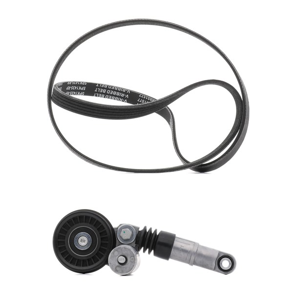 Keilrippenriemensatz 542R0069P RIDEX PLUS SKODA Superb I Limousine (3U4) 1.9 TDI 2002 101 PS