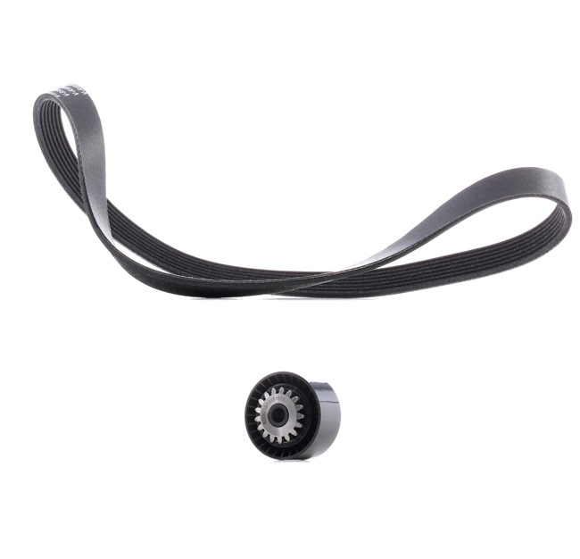 Drivremssats 542R0017P RIDEX PLUS RENAULT Clio III Hatchback (BR0/1, CR0/1) 1.2 16V 2009 58 hk