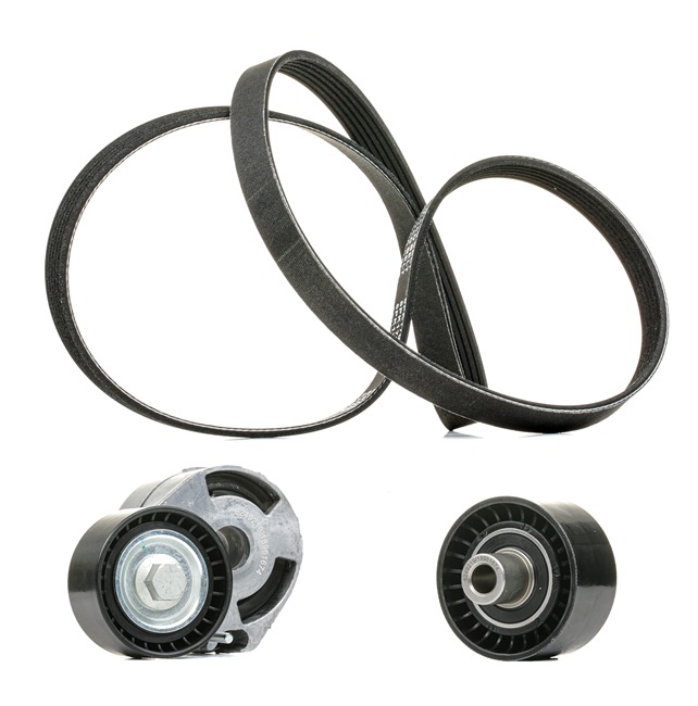 Numéro OEM 2S61 6C301 DA - Jeu de courroies trapézoïdales à nervures 542R0062P AUDI, FORD, MAZDA, FORD USA, MERCURY