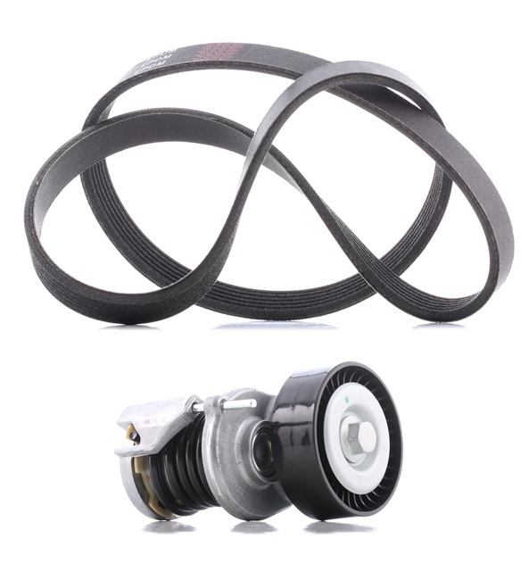 Kit Cinghie Poly-V 542R0041P RIDEX PLUS Volkswagen Polo IV Hatchback (9N) 1.4 TDI 2007 80 CV