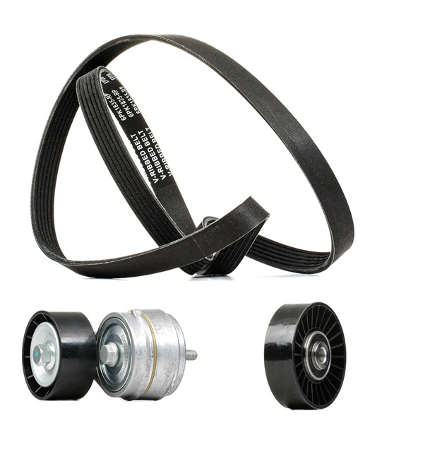 Kit Cinghie Poly-V 542R0028P RIDEX PLUS ALFA ROMEO 147 (937) 1.9 JTDM 16V (937.AXN1B, 937.AXZ1B) 2010 170 CV