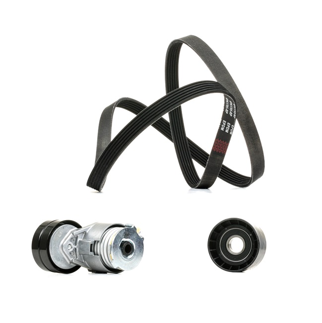 RIDEX PLUS | Keilrippenriemensatz 542R0020P MITSUBISHI Carisma Limousine (DA2A, DAO) 2003 günstig online