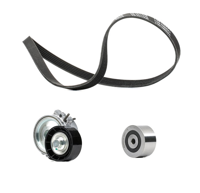 Número OEM 5750 GX - Jogo de correias trapezoidais estriadas 542R0052P BMW, VW, MERCEDES-BENZ, PEUGEOT, OPEL