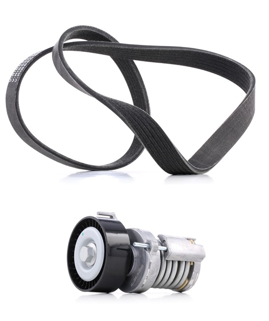 RIDEX PLUS | Correia estriada 542R0036P SEAT Ibiza II GP01 (6K1) 2002 baratos online