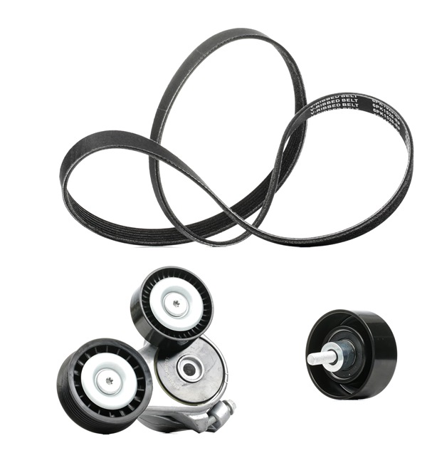 Número OEM YS 6E 19A21 6AB - Jogo de correias trapezoidais estriadas 542R0145P FORD, FORD USA