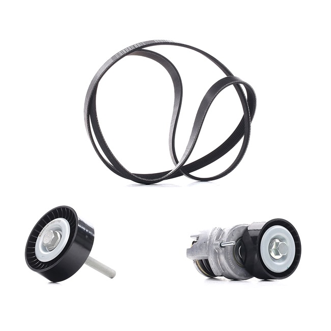 Kit Cinghie Poly-V 542R0281P RIDEX PLUS Volkswagen Golf VI Hatchback (5K1) 1.4 TSI 2008 122 CV