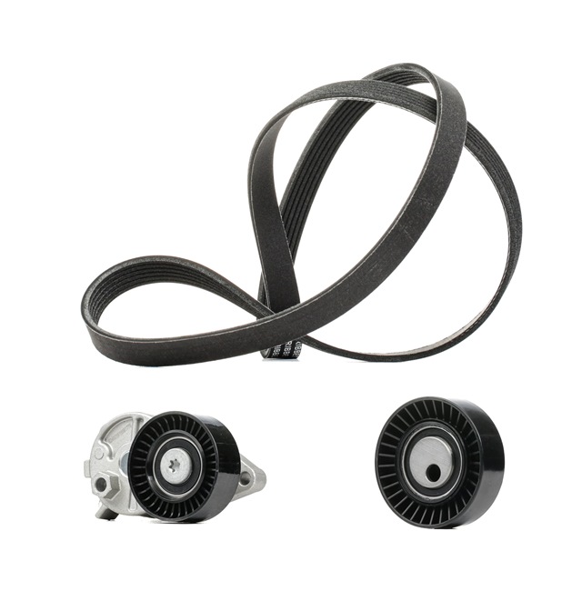 Número OEM 1 760 373 - Jogo de correias trapezoidais estriadas 542R0388P FORD, FORD USA