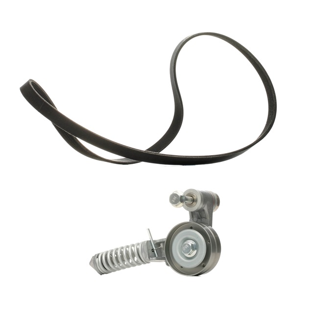 Número OEM 93 18 2238 - Jogo de correias trapezoidais estriadas 542R0173P OPEL, CHEVROLET, VAUXHALL