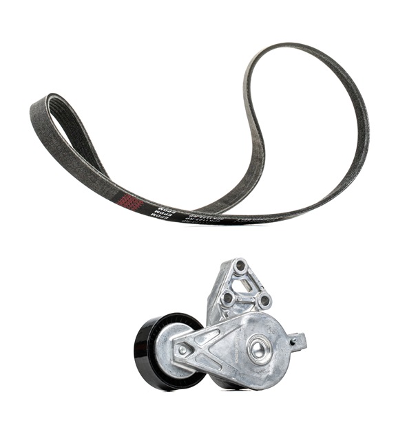 Aandrijfriem 542R0193P RIDEX PLUS Volkswagen Bora Sedan (1J2) 1.9 TDI 4motion 2004 150 Pk