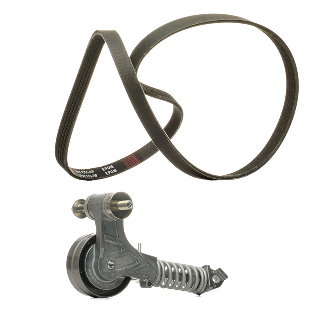 Número OEM 9198828 - Jogo de correias trapezoidais estriadas 542R0116P OPEL, CHEVROLET, VAUXHALL, GMC, PLYMOUTH