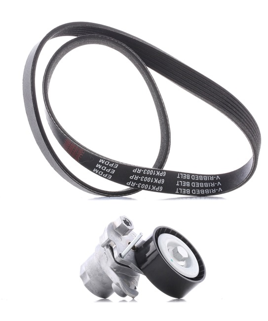 Kit Cinghie Poly-V 542R0463P RIDEX PLUS Volkswagen Polo V Hatchback (6R1, 6C1) 1.0 TSI 2015 110 CV