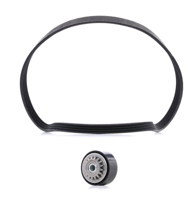 Número OEM 82 00 830 190 - Jogo de correias trapezoidais estriadas 542R0497P RENAULT, TOYOTA, KIA, SUZUKI, DACIA