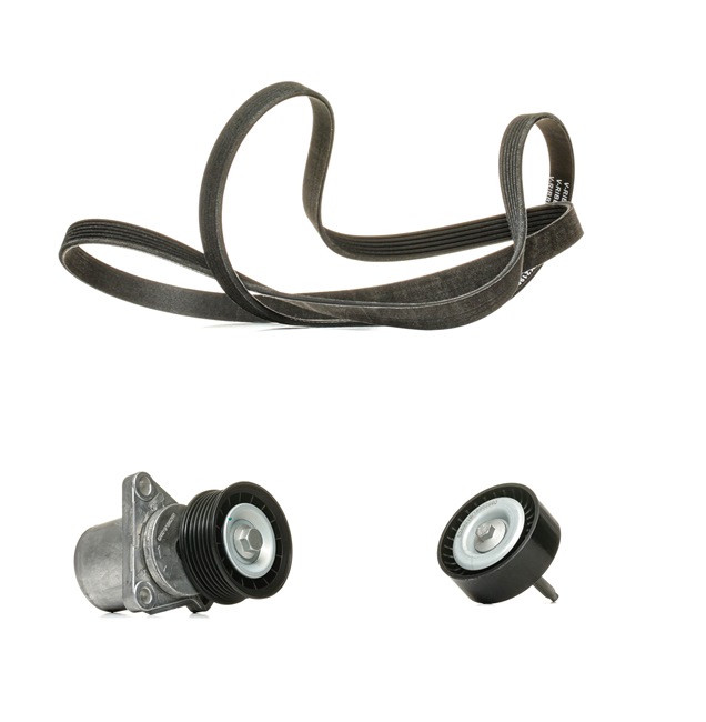 Número OEM 1S7Q 6A228 AE - Jogo de correias trapezoidais estriadas 542R0286P FORD, VOLVO, FORD USA