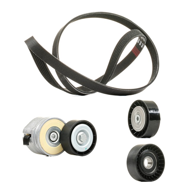 RIDEX PLUS | Kit Cinghie Poly-V 542R0206P ALFA ROMEO 159 Sedan (939) 2005 economici online