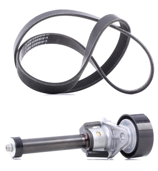 Kit Cinghie Poly-V 542R0390P RIDEX PLUS Volkswagen Golf VI Hatchback (5K1) 1.8 TSI 2009 160 CV