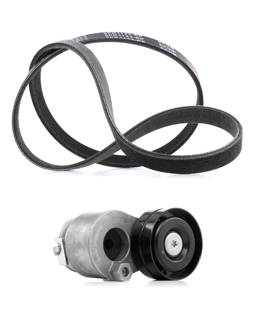 Drivremssats 542R0179P RIDEX PLUS RENAULT Trafic II Minibuss (JL) 1.9 dCI 80 2004 82 hk