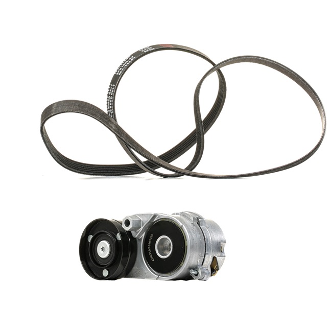 Keilrippenriemensatz 542R0534P RIDEX PLUS AUDI A4 B6/B7 Cabrio (8H7, 8HE) 2.4 2003 170 PS