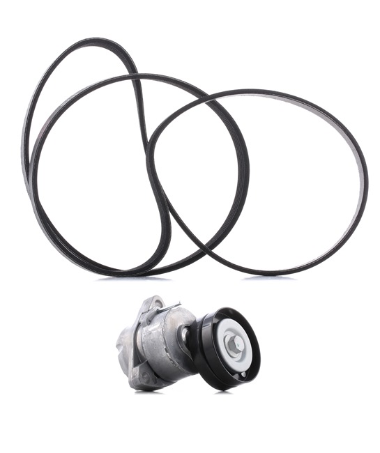 Jogo de correias trapezoidais estriadas 542R0319P RIDEX PLUS OPEL Astra G CC (T98) 2.0 16V OPC (F08, F48) 2000 160 cv