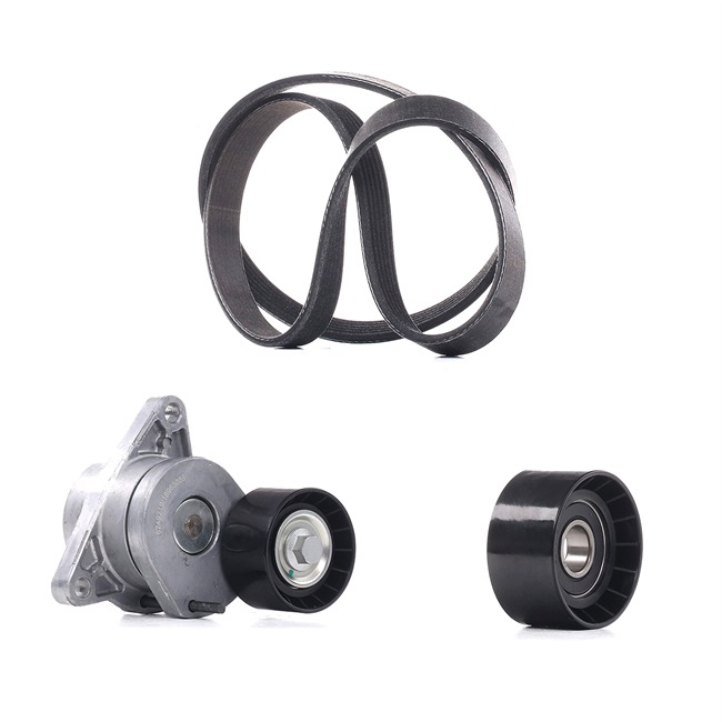 Drivremssats 542R0550P RIDEX PLUS RENAULT Trafic II Minibuss (JL) 2.5 dCi 135 (JL0D) 2005 135 hk