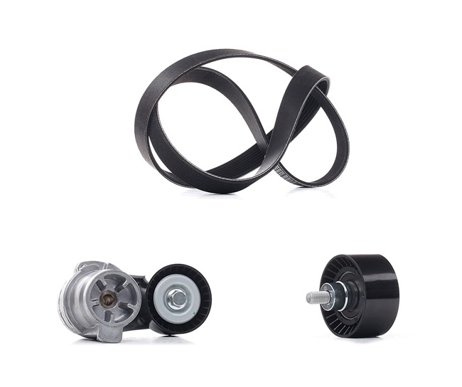 Jogo de correias trapezoidais estriadas 542R0556P RIDEX PLUS BMW 7 (F01, F02, F03, F04) 740 i, Li 2013 320 cv