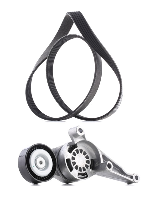Kit Cinghie Poly-V 542R0115P RIDEX PLUS Volkswagen Touran I (1T1, 1T2) 2.0 TDI 2008 140 CV