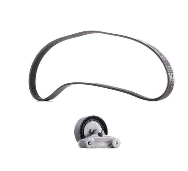 Kit Cinghie Poly-V 542R0462P RIDEX PLUS Volkswagen Polo V Hatchback (6R1, 6C1) 1.0 2016 75 CV