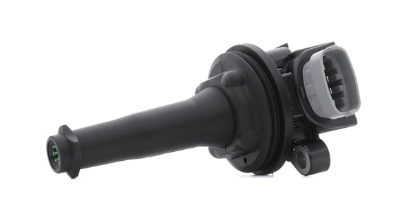 Zündspulen 689C0089P RIDEX PLUS VOLVO S80 II (AS, 124) 2.5 T 2012 231 PS