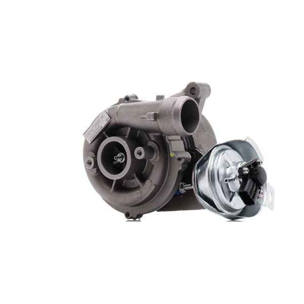 Turbolader 2234C0244R RIDEX REMAN FORD C-Max (DM2) 2.0 TDCi 2010 133 hk