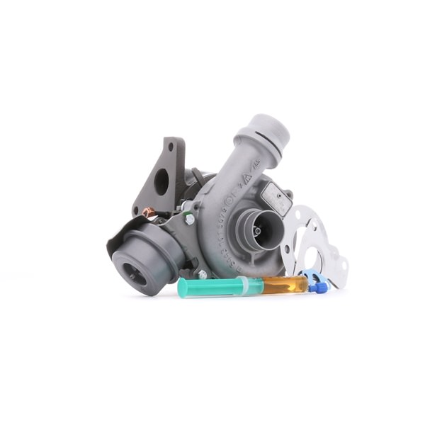 OEM-Nummer 8.200.204.572 - Turbolader 2234C10793R RENAULT, DACIA, RENAULT TRUCKS