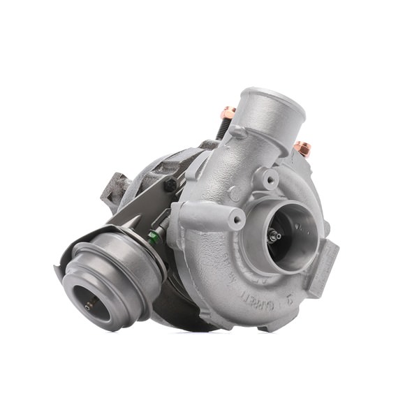 Abgasturbolader 2234C10171R RIDEX REMAN RENAULT Modus / Grand Modus (F, JP) 1.2 2008 75 PS