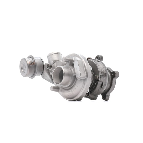 Turbina 2234C10798R RIDEX REMAN Volkswagen Passat B5 Variant (3B5) 1.9 TDI 2000 90 CV