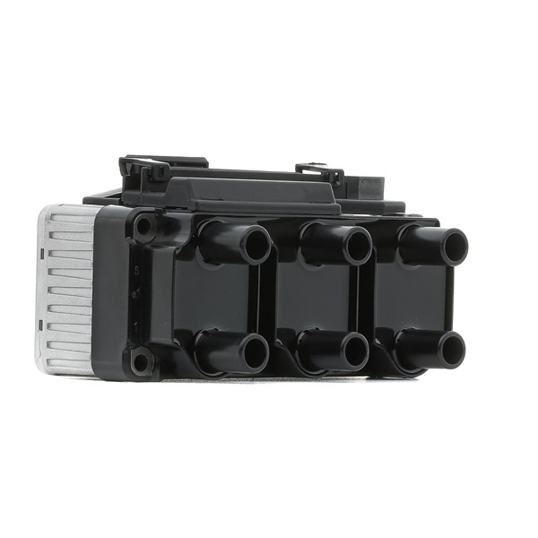 Bobines 689C0074P RIDEX PLUS Volkswagen Transporter T4 Flatbed Vrachtwagen / Chassis (70E, 70L, 70M, 7DE, 7DL, 7D) 2.8 VR6 2002 204 Pk