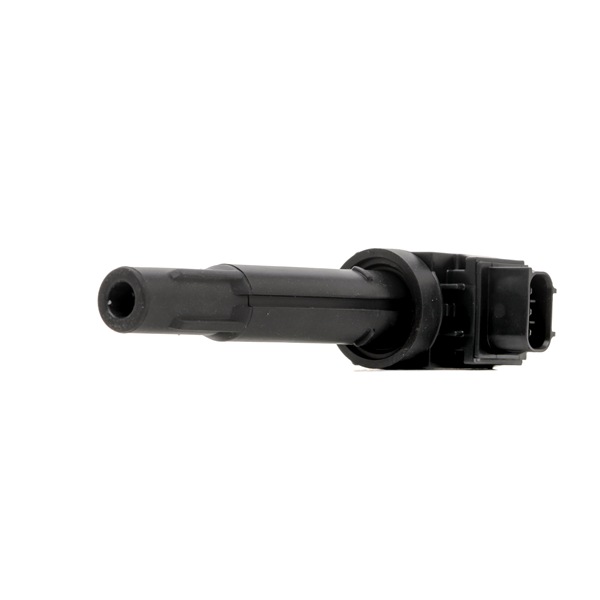 Bobines GN11090-12B1 DELPHI SUZUKI Swift V (AZ) 1.0 (A2L310) 2021 112 Pk