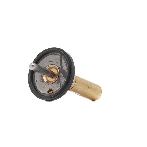 MAGNETI MARELLI 352317004980 Smart 451 engine thermostat replacement cost