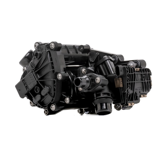 INA 538 0810 10 Thermostat d'eau Mini F55