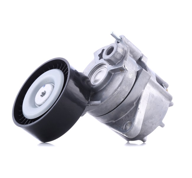 online SNR Spannrolle GA351.08 Jeep 39,17 € im Online-Shop kaufen