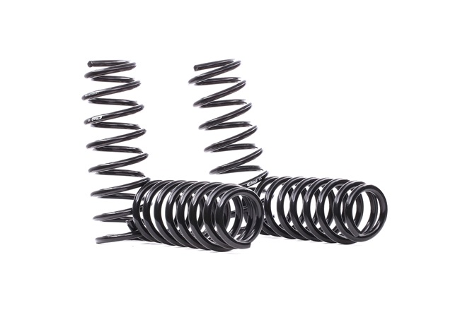 EIBACH E10-20-022-01-22 Suspension kit, coil springs BMW 5 Saloon (F10) 520 d 205 hp Diesel 2015